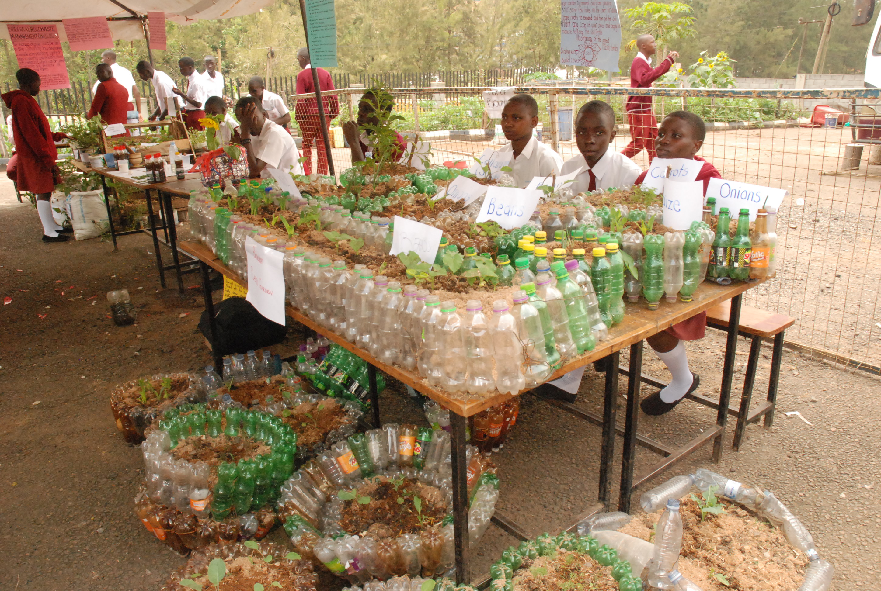Home Paul Mukasa Secondary School Home Paul Mukasa Secondary School